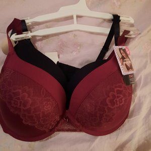 Maidenform 2 pack push-up bras 36DD NWT